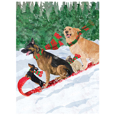 Dog Toboggan Holiday Card