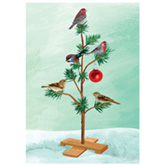 Christmas Birds Holiday Card